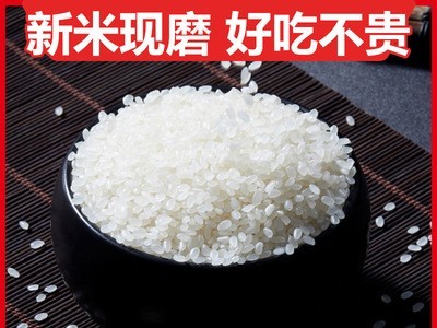 黑龙江地道五常香米10斤常规包装2020现磨新米厂家批发贴牌代发图3