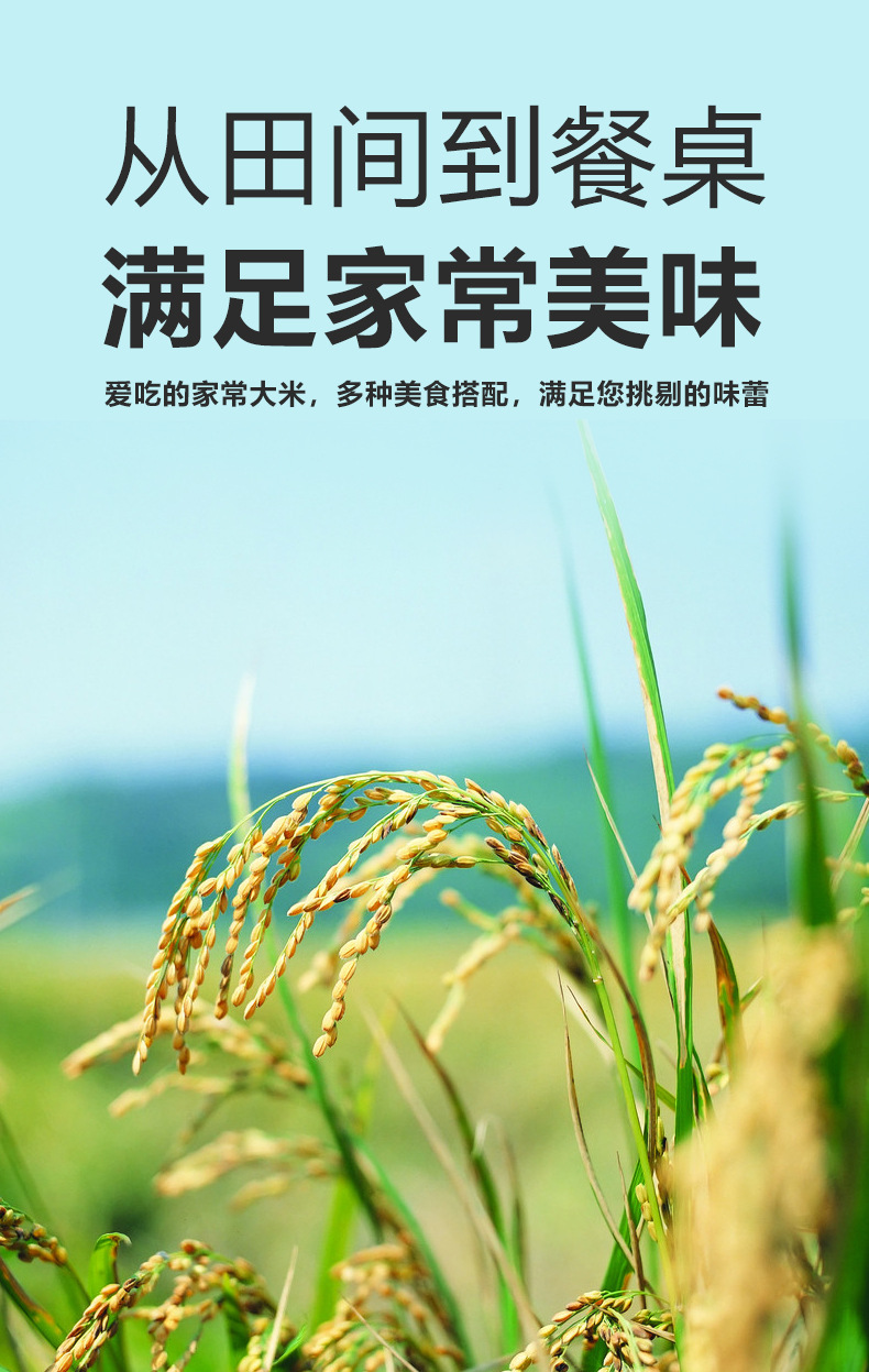 五常详情2-3_07.jpg