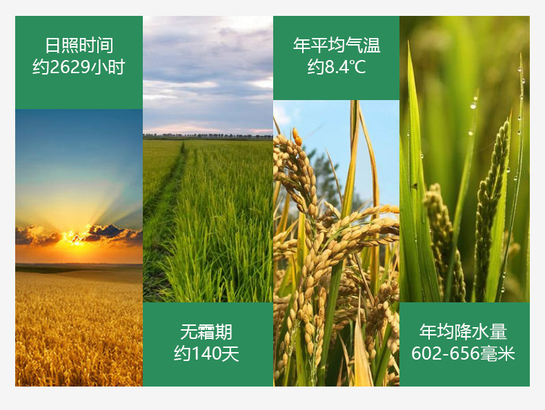五常详情2-3_03.jpg