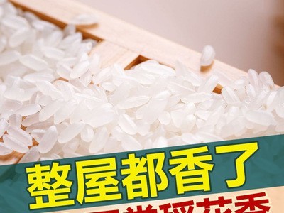 东北五常大米稻花香10斤真空包装2020新米厂家批发OEM贴牌代发图4