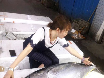 海鲜批发金枪鱼刺身日料整条海鱼生鲜蓝旗鲜活新鲜黄鳍大目金枪图3