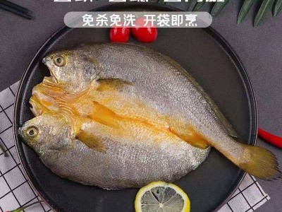 醇香黄鱼鲞黄瓜鱼黄花鱼厂家批发 宁德大黄鱼新鲜冷冻厂家批发图5