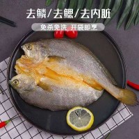 醇香黄鱼鲞黄瓜鱼黄花鱼厂家批发 宁德大黄鱼新鲜冷冻厂家批发