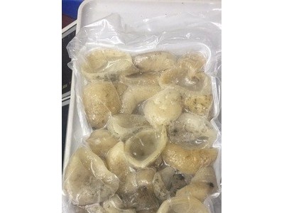 球参白玉参水发海参图2