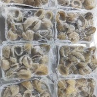 球参白玉参水发海参