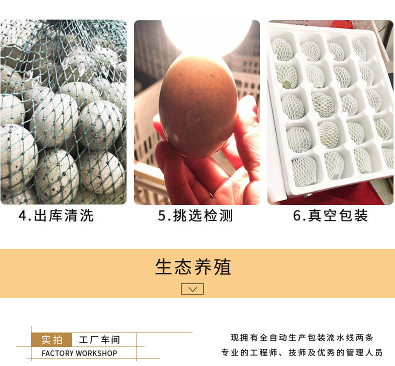咸鸭蛋详情改_08