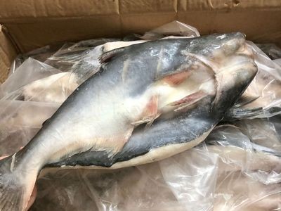 越南活冻开边开背巴沙鱼冷冻湄公鱼烤鱼 凌波鱼巴沙鱼烤鱼10kg/件图2