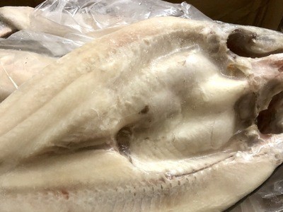 越南活冻开边开背巴沙鱼冷冻湄公鱼烤鱼 凌波鱼巴沙鱼烤鱼10kg/件图4