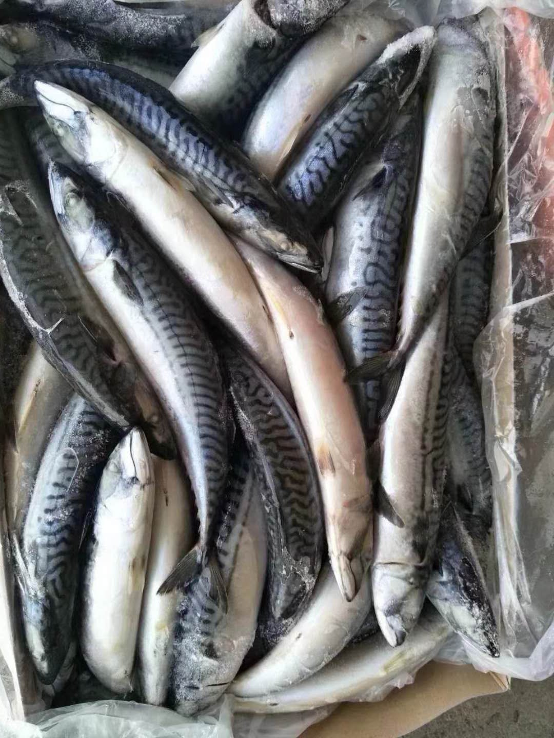 412290956718869859