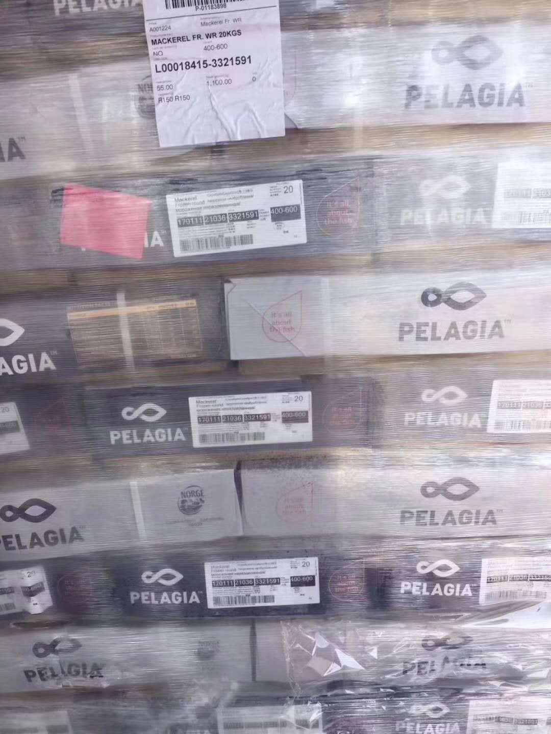263032886058682562