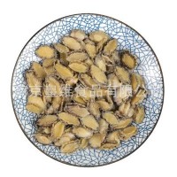 鲍鱼纯肉冷冻鲍鱼50头小鲍鱼肉福建鲍鱼熟冻鲍鱼鲍鱼仔珍珠鲍