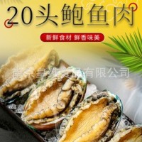 冷冻鲍鱼鲍鱼肉 珍珠鲍鱼20头漂烫鲍鱼肉 珍珠小鲍鱼鲍鱼海参捞饭