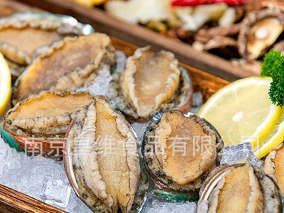 冷冻鲍鱼鲍鱼肉 珍珠鲍鱼20头漂烫鲍鱼肉 珍珠小鲍鱼鲍鱼海参捞饭图4