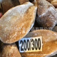 黄金鲍 鲍螺 黄金澳鲍 三去黄金鲍螺 木瓜鲍酒店特色食材 20KG/箱