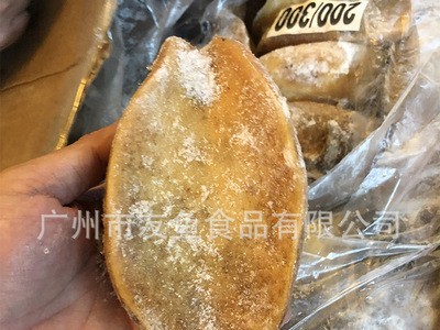 黄金鲍 鲍螺 黄金澳鲍 三去黄金鲍螺 木瓜鲍酒店特色食材 20KG/箱图2