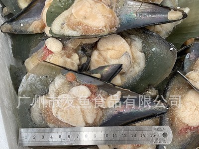 带壳半壳带子 半壳江瑶贝 冷冻海鲜海产品海鲜自助15斤/箱/110只图3