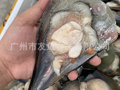 带壳半壳带子 半壳江瑶贝 冷冻海鲜海产品海鲜自助15斤/箱/110只图5