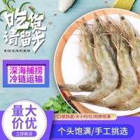 大虾鲜活海鲜水产青岛大虾冷冻基围虾鲜虾厄瓜多尔白虾冻虾代批发