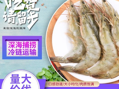 大虾鲜活海鲜水产青岛大虾冷冻基围虾鲜虾厄瓜多尔白虾冻虾代批发图5