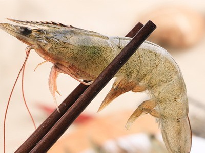 大虾鲜活海鲜水产青岛大虾冷冻基围虾鲜虾厄瓜多尔白虾冻虾代批发图2