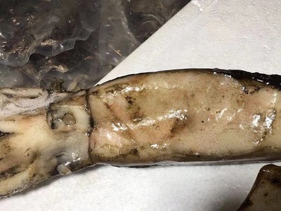 整鱼水产品鲜冻深海鱿鱼 冷冻低温简装美味鱿鱼 商用料理舟山鱿鱼图2