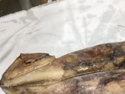 整鱼水产品鲜冻深海鱿鱼 冷冻低温简装美味鱿鱼 商用料理舟山鱿鱼图4
