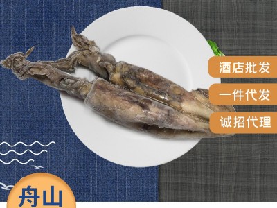 整鱼水产品鲜冻深海鱿鱼 冷冻低温简装美味鱿鱼 商用料理舟山鱿鱼图5