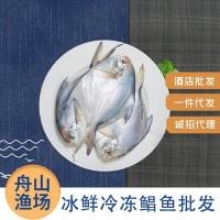 冷冻海产白鲳鱼 生鲜鱼类冷冻海鲜东海白玉鲳 冷冻鲜嫩海产白玉鲳