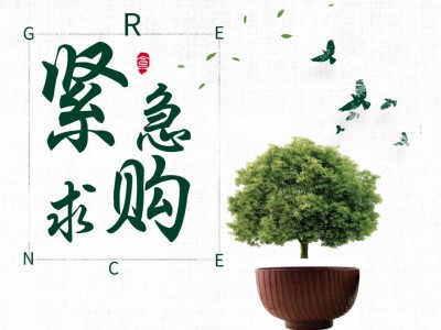 招募求购 杨梅 柚子 橘子 桃树树苗 供应商图3