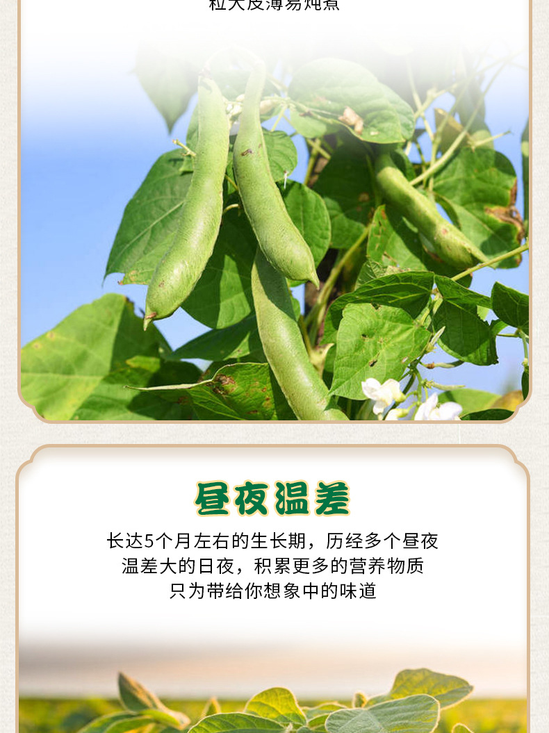 绿豆详情_04