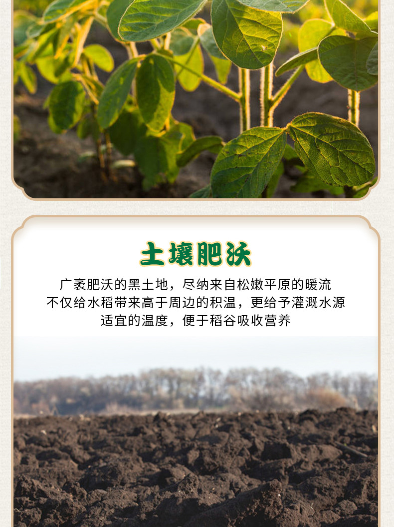 绿豆详情_05