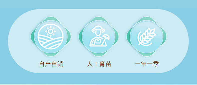 稻花香2号_02.jpg
