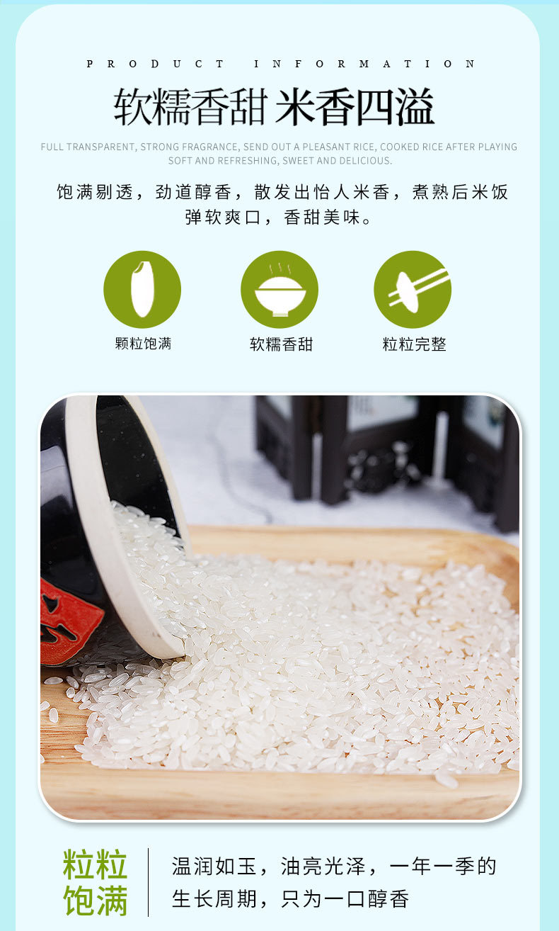 新-10kg_06.jpg