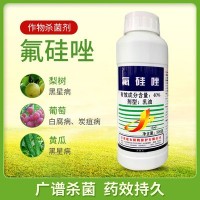建农氟硅唑40%乳油水果月季黑星病黑斑病白腐病农药杀菌剂