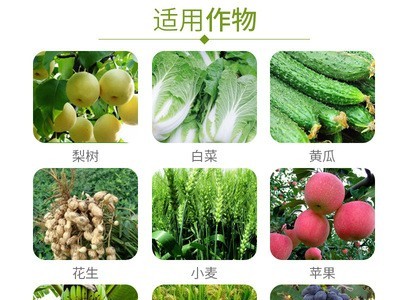 建农农药戊唑醇葡萄草莓白粉病叶斑病果树蔬菜杀菌剂图2