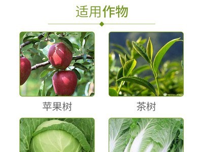 建农氯氰吡虫啉5%乳油杀虫剂蚜虫青虫茶小绿叶蝉果树农药图3