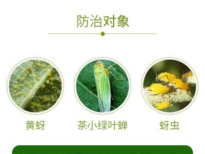 建农氯氰吡虫啉5%乳油杀虫剂蚜虫青虫茶小绿叶蝉果树农药图2