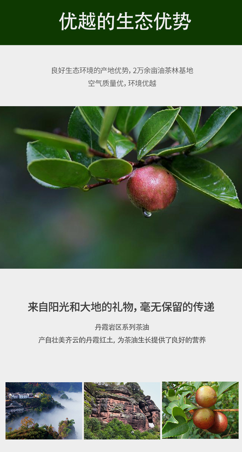 山茶油_03.jpg