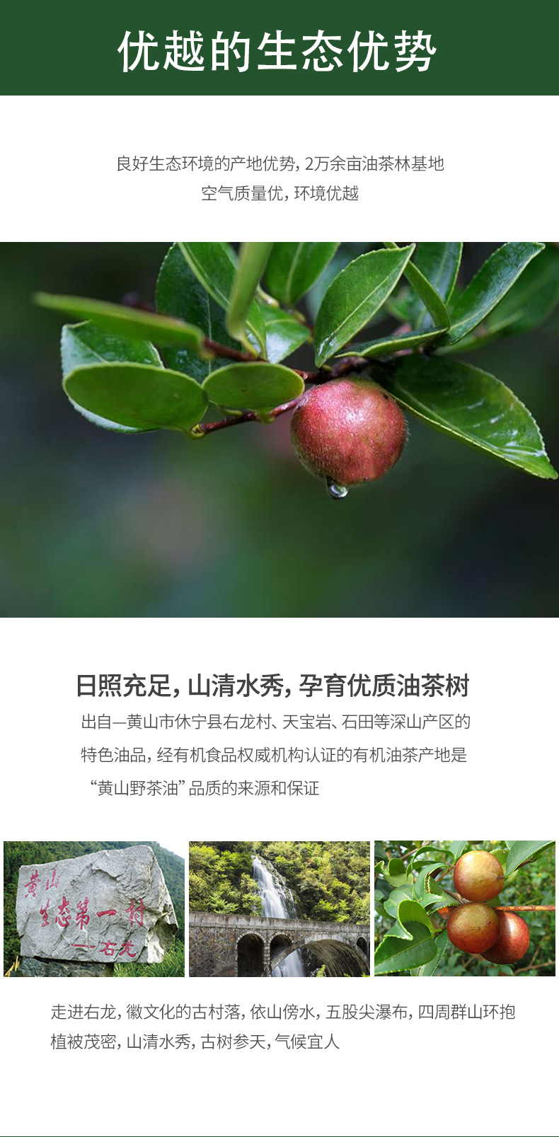 有机茶乡_03.jpg
