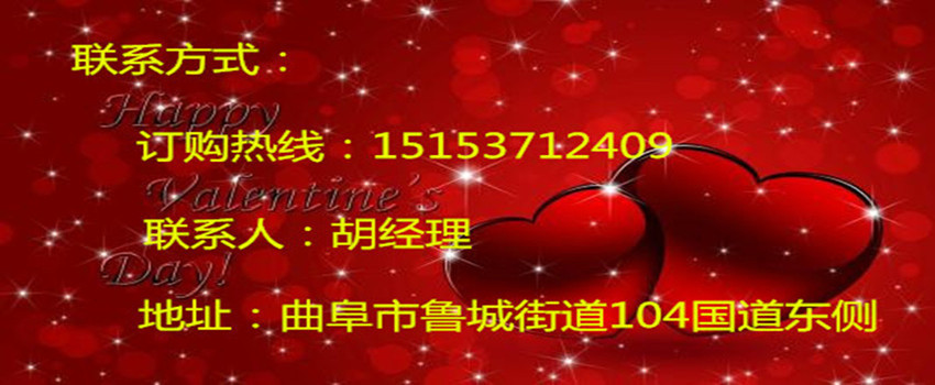 b361ad9ab46fed7a38085c54dce1cd