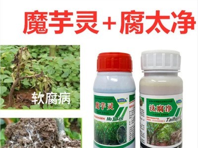 禾得乐汰腐净整件20瓶魔芋抗病增收病害叶面肥喷施灌根预防根腐病图3
