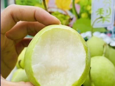 攀枝花香梨8斤装青梨子酥脆梨子新鲜水果应季整箱丁香梨现摘批发图4
