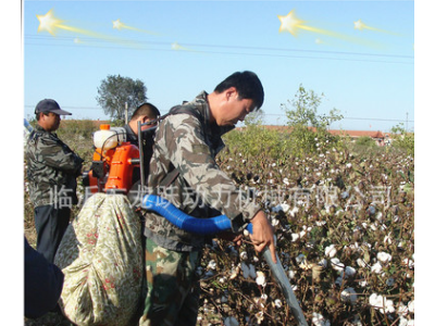 2013新型采棉机厂家 收获机械 新推出的实用拾花机 临沂龙跃图4