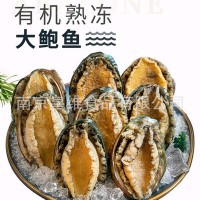 江船长鲍鱼肉8-10g 活冻鲜冻 去肚去齿鲍鱼 熟冻鲍鱼 鲍鱼仔