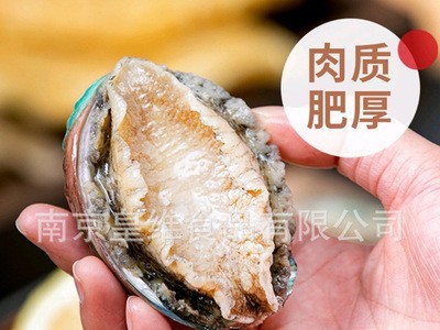 江船长鲍鱼肉8-10g 活冻鲜冻 去肚去齿鲍鱼 熟冻鲍鱼 鲍鱼仔图5
