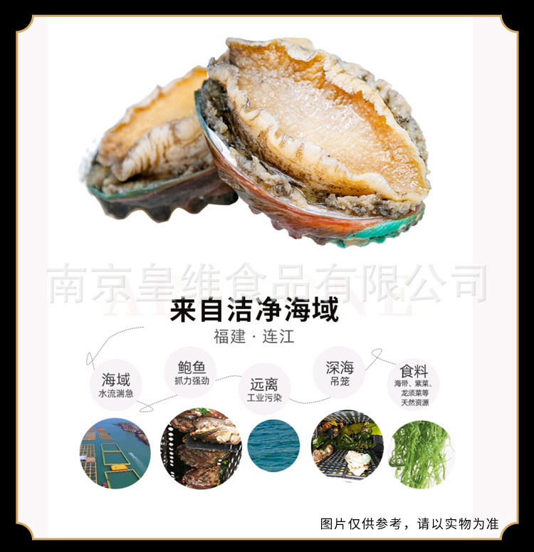 8-10g鲍鱼肉_04.jpg
