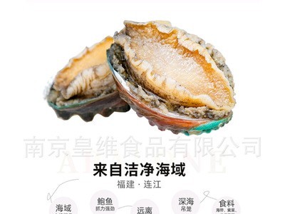 鲜冻冻活冻冷冻鲜冻带去肚去齿鲍鱼活冻鲍鱼10头/8头鲍鱼海鲜酒店图3