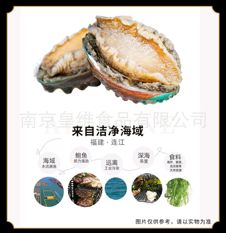 10头带壳鲍鱼_04.jpg