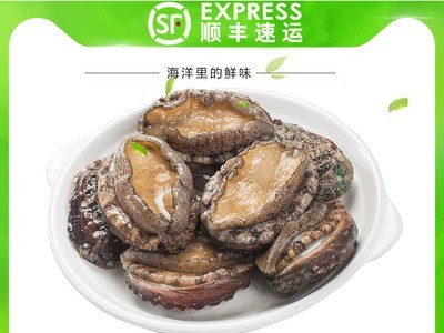 鲜冻冻活冻冷冻鲜冻带去肚去齿鲍鱼活冻鲍鱼10头/8头鲍鱼海鲜酒店图4