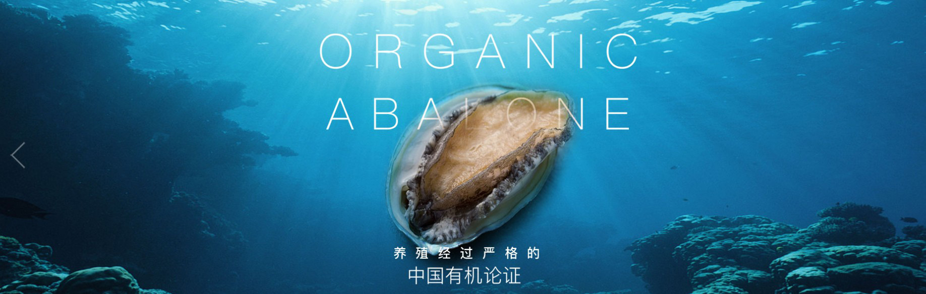 第2